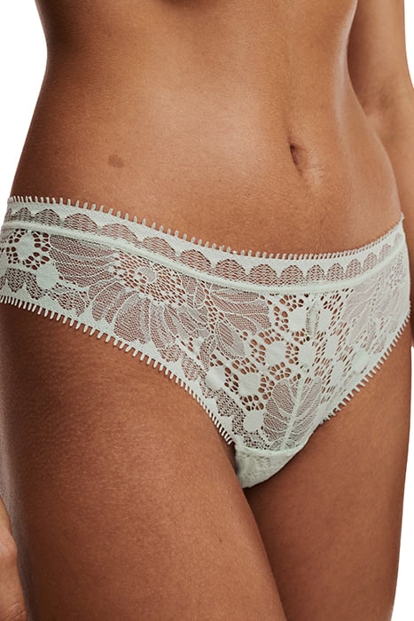 DAY TO NIGHT GREEN LILY 4