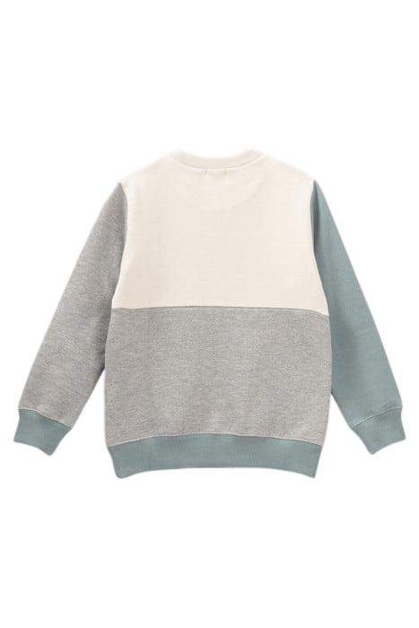 BOYS’ GREY, GREEN, AND ECRU SWEATSHIRT WITH RUBBER IMAGES 3