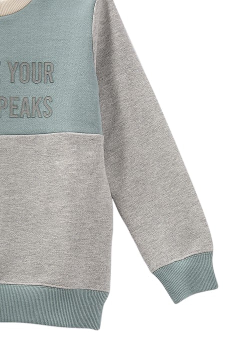 BOYS’ GREY, GREEN, AND ECRU SWEATSHIRT WITH RUBBER IMAGES 7