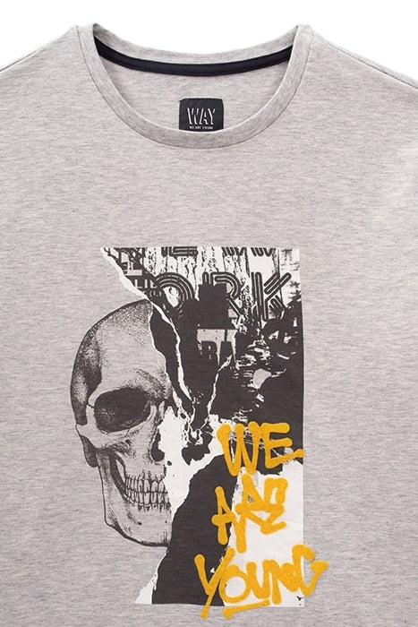 BOYS’ GREY DOUBLE IMAGE AND FLOCKED T-SHIRT GREY 3