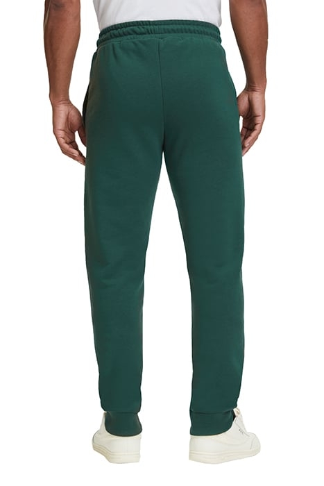 BRAIVES SWEAT PANTS FOREST BIOME 2