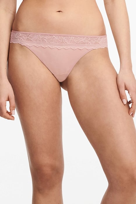 CO BO. TANGA STD STD W. ENGLISH ROSE 1