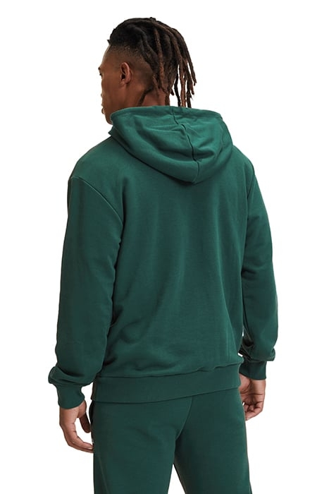 BENGEL REGULAR HOODY FOREST BIOME 2