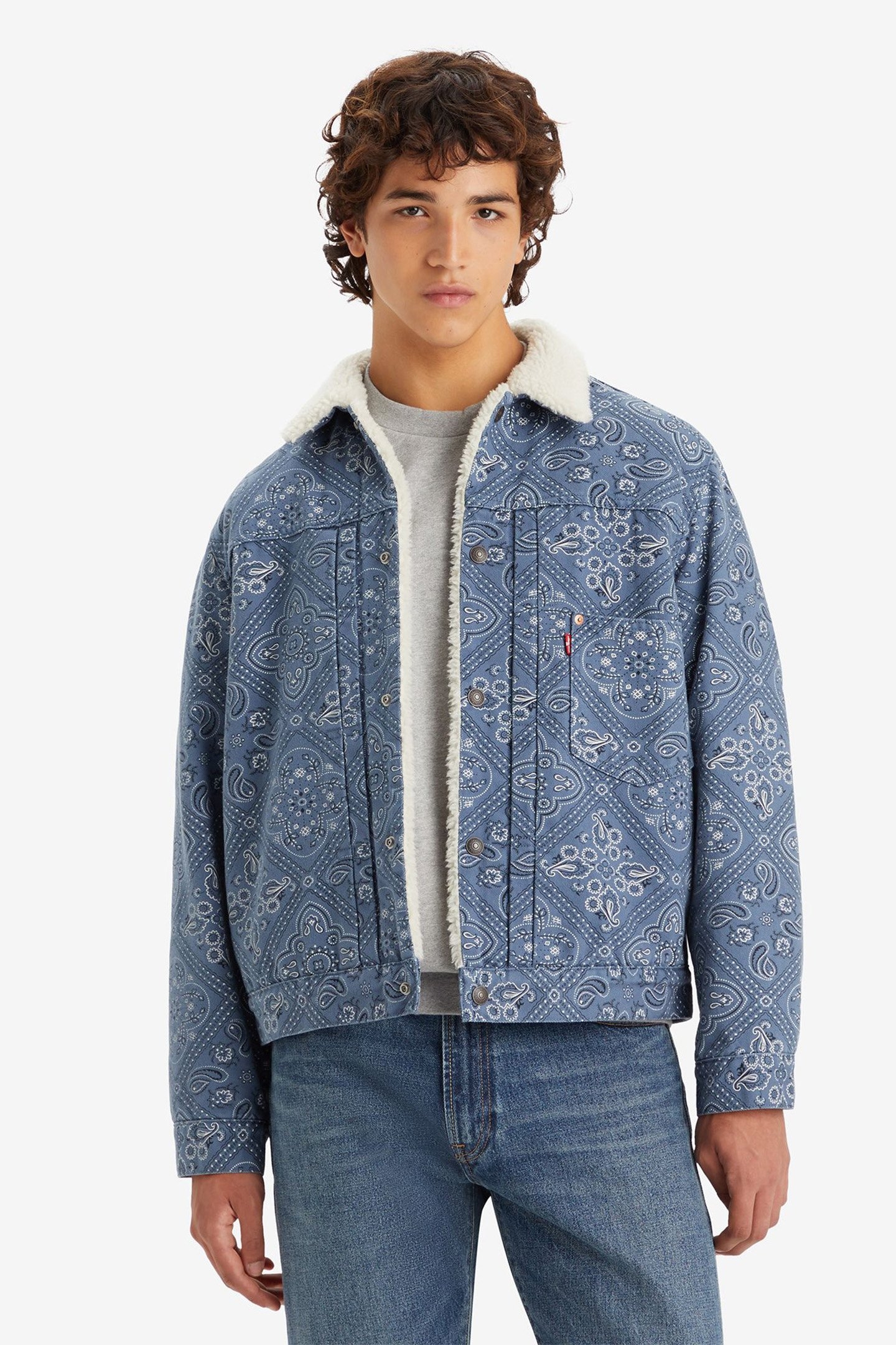 TYPE I SHERPA TRUCKER JACKET 1