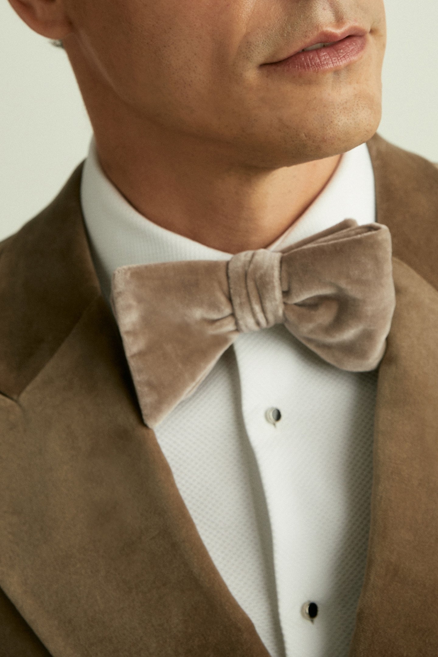 VELVET BOW TIE TAUPE BROWN 2