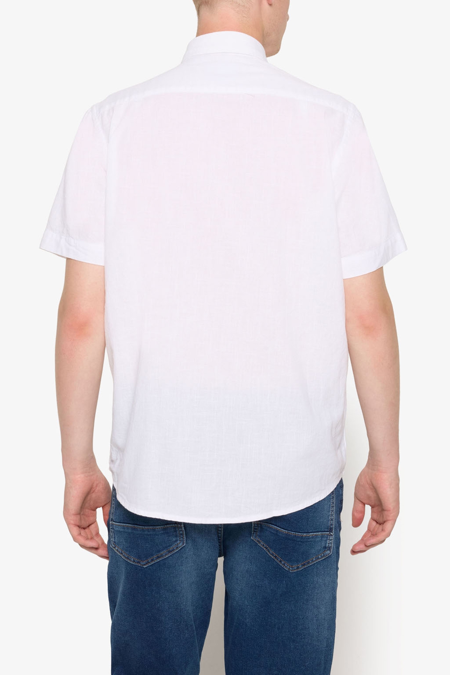 PITTSI STRUCTURE WHITE 2