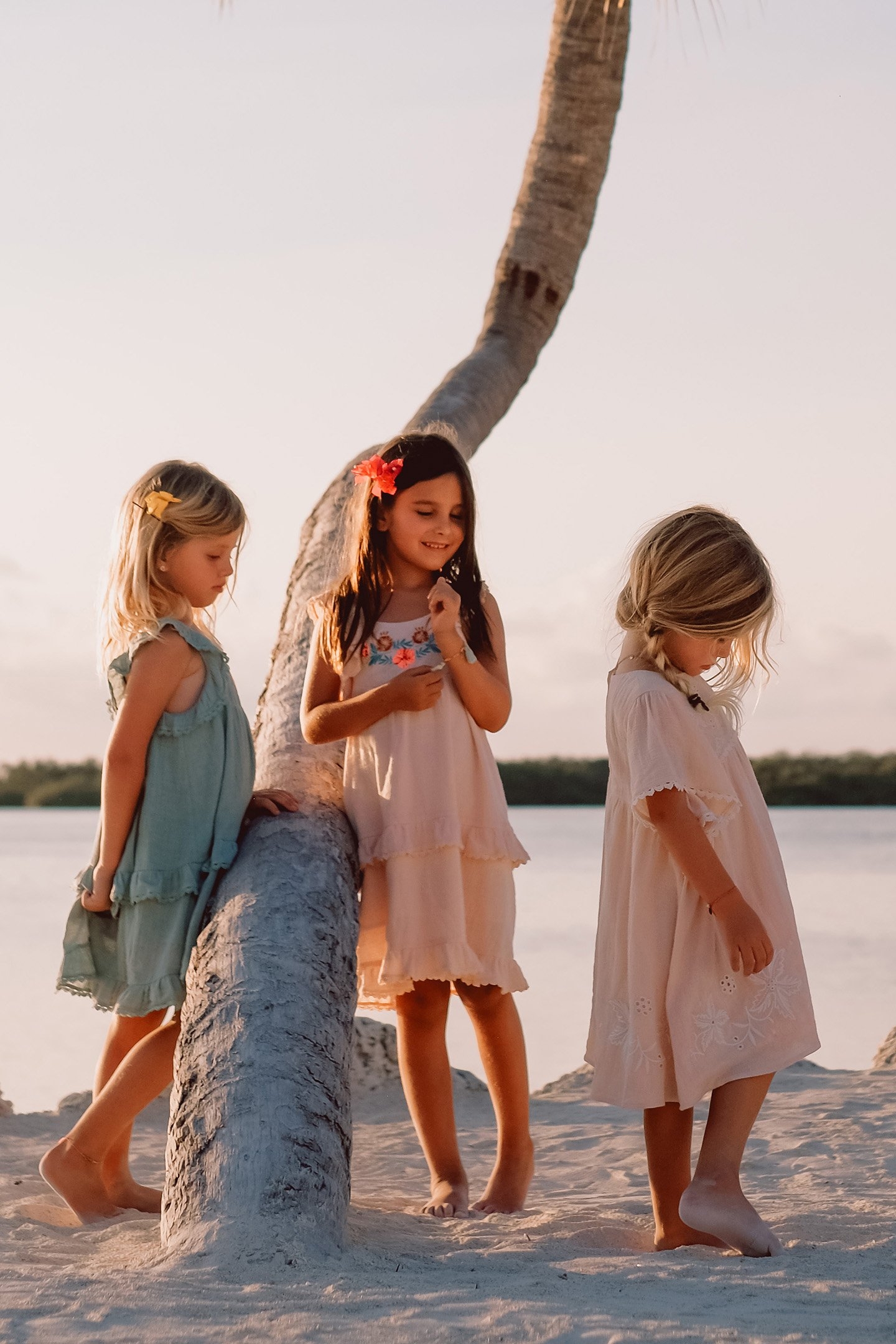 DRESS MEXICO BLUSH 4