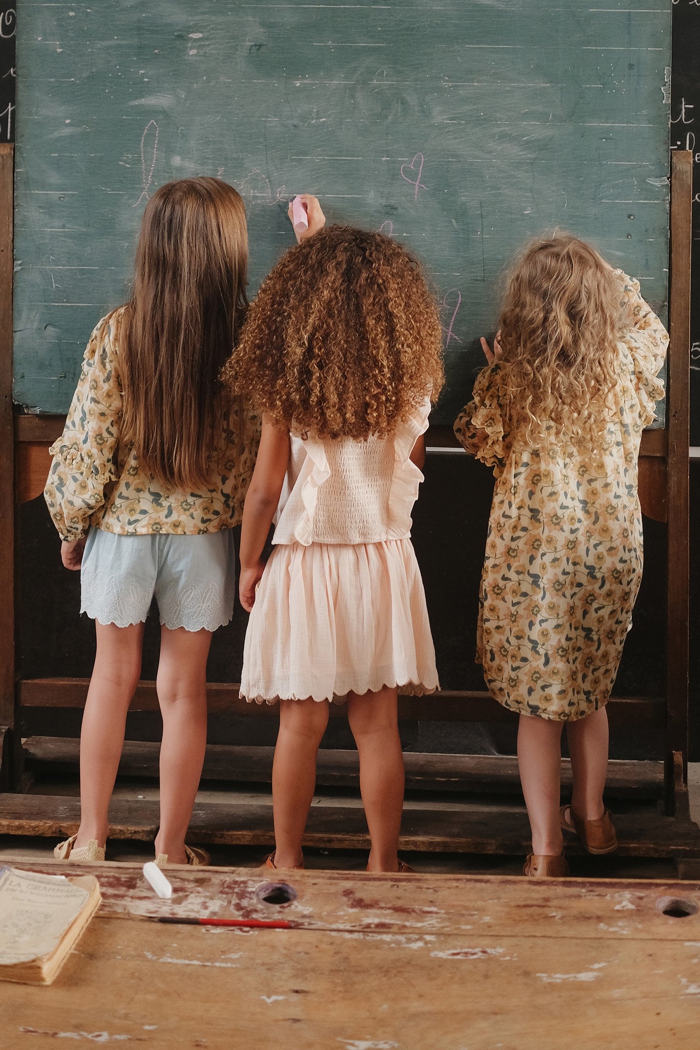 SHORTS LUISA CHAMBRAY 5