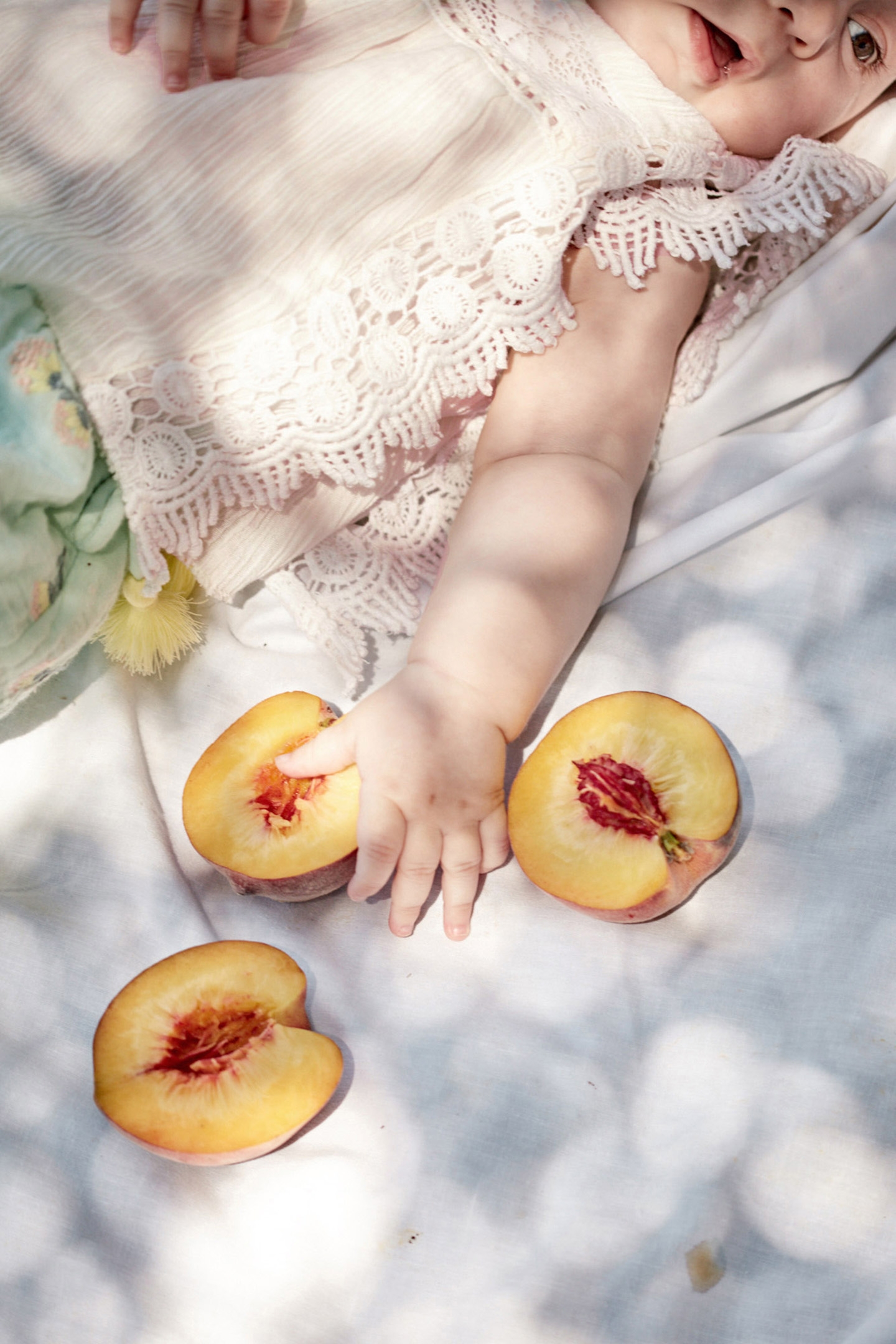 BLOUSE ADOLIO BLUSH 8