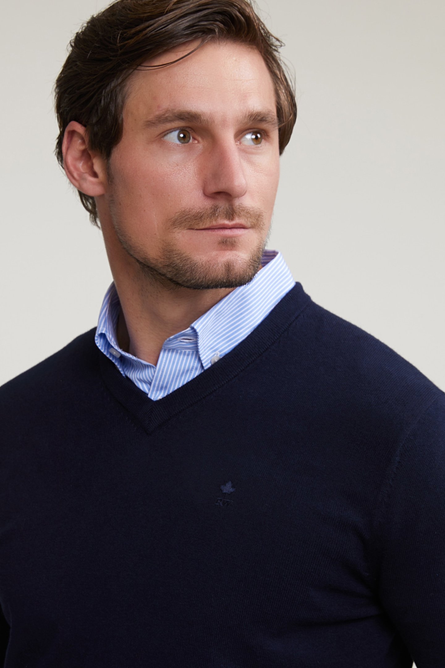 NORMAL FIT BASIC COTTON V-NECK SWEATER NAVY BLUE 4