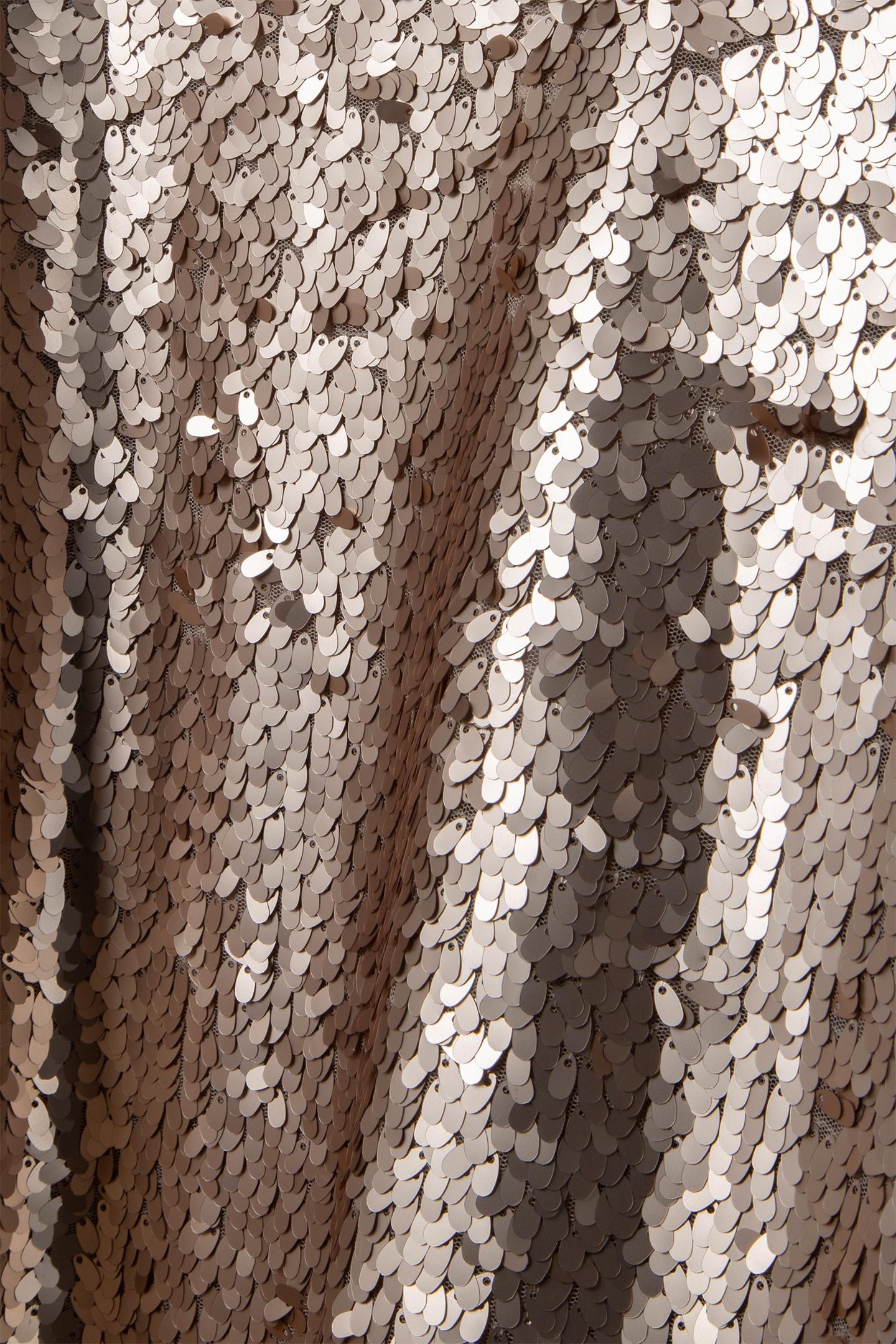 REYNIS - PLATINUM MAXI DRESS EMBROIDERED WITH SEQUINS 6