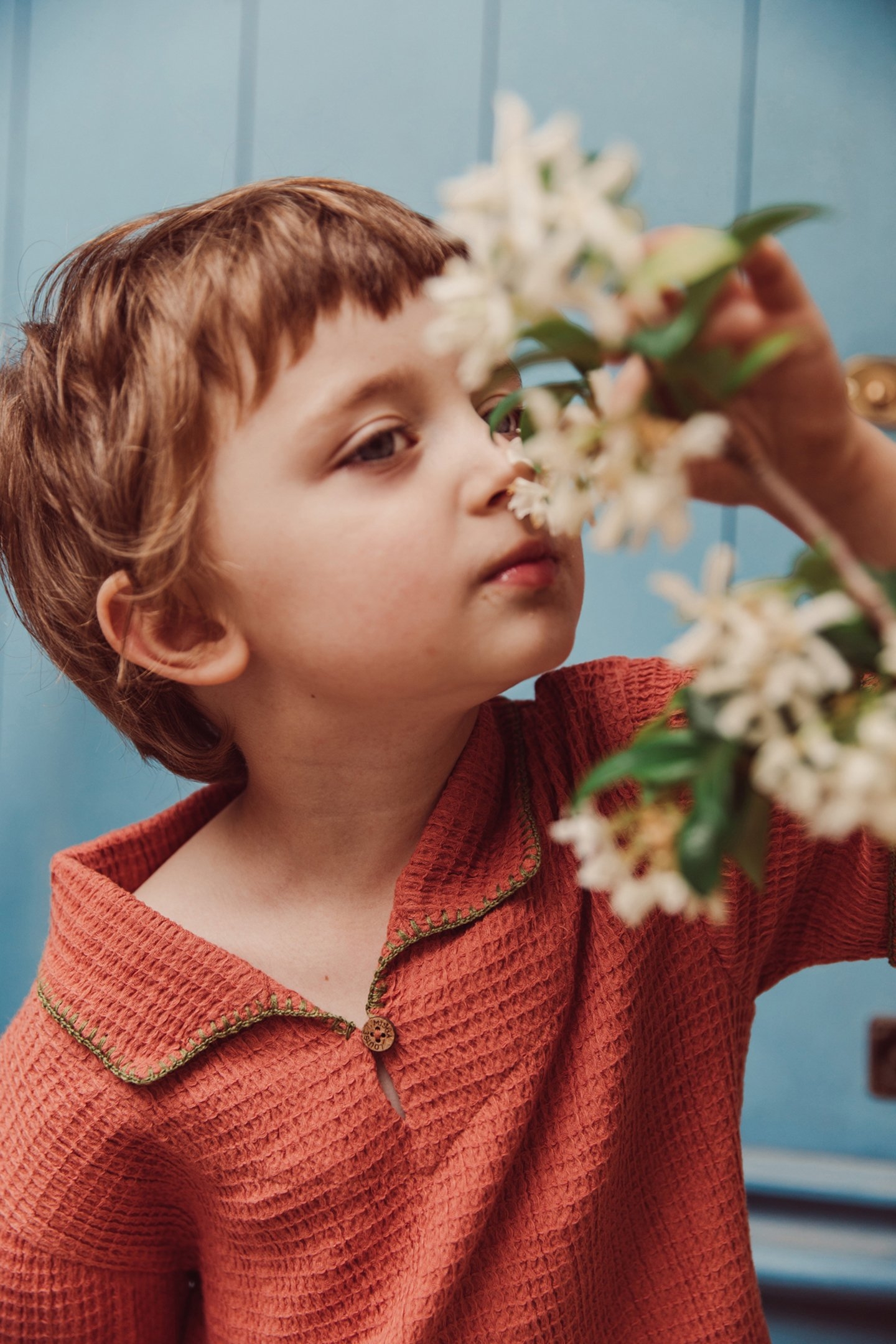 SHIRT AMELIO TERRACOTTA 7