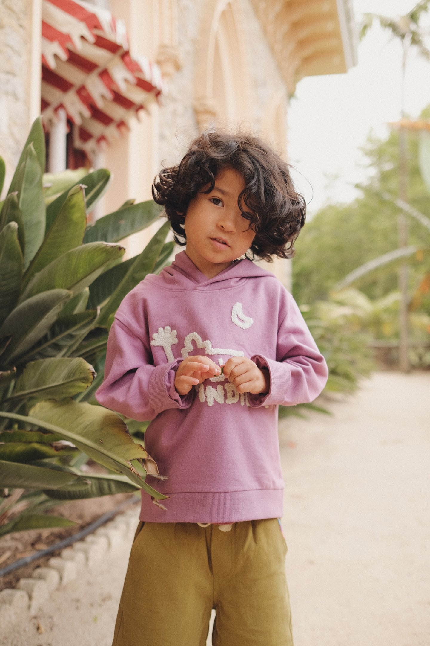 HOODY ISSAH PURPLE 1