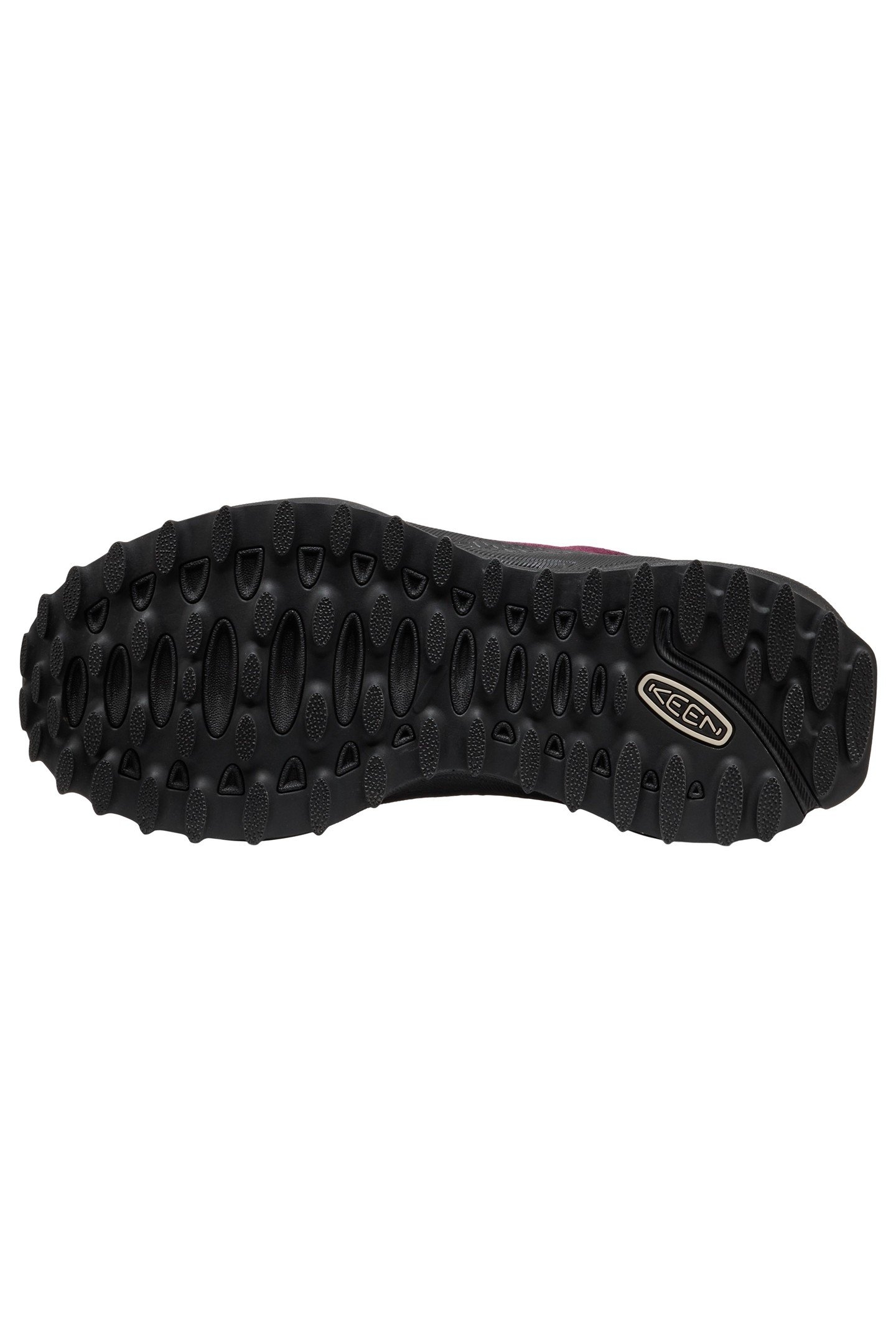 JASPER ZIONIC SNEAKERS FIG/LILAS 8